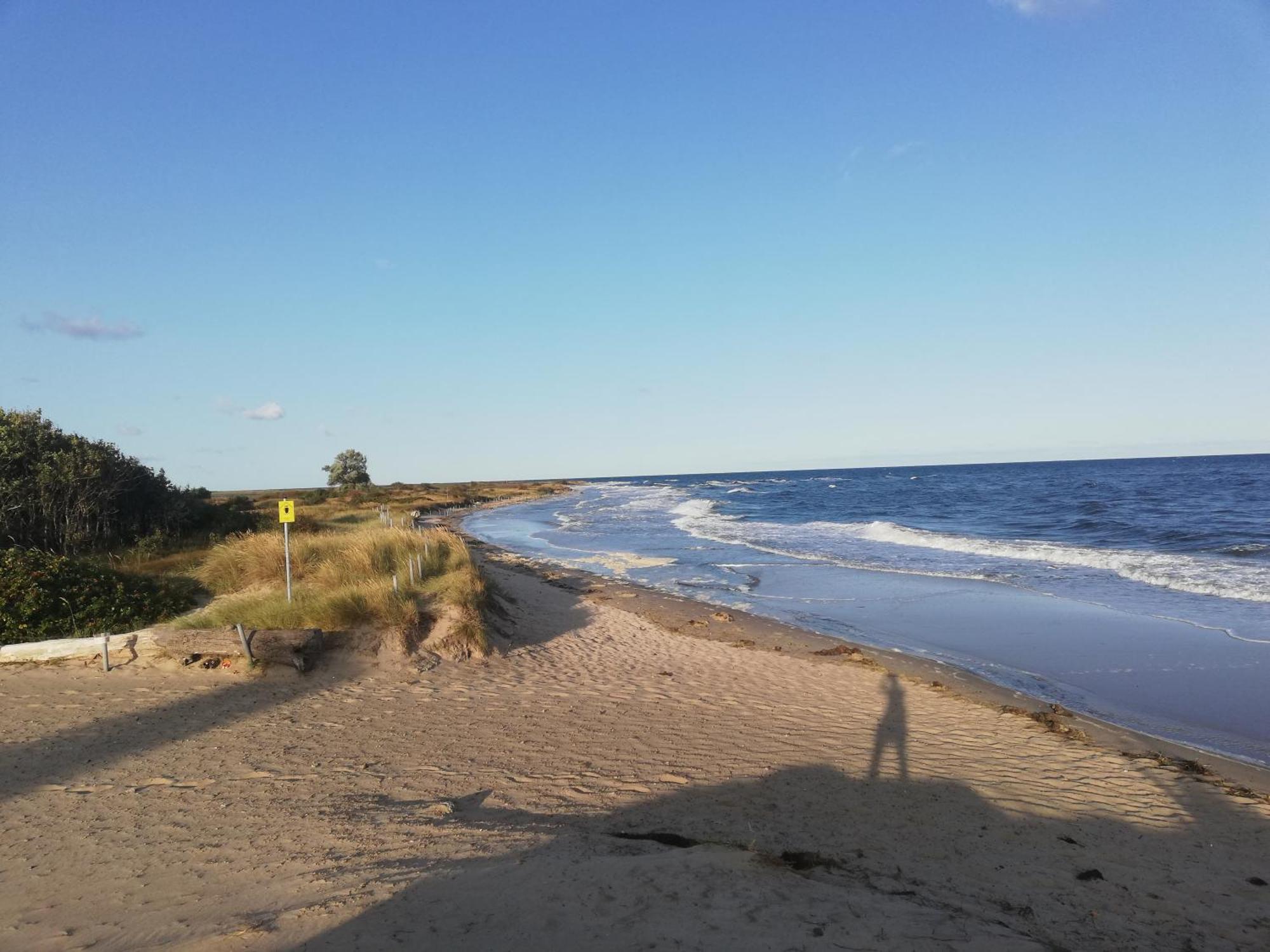 Strandloewe Kuehlungsborn Ostsee ภายนอก รูปภาพ